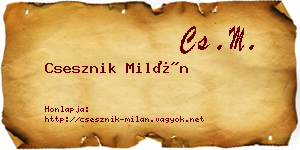 Csesznik Milán névjegykártya